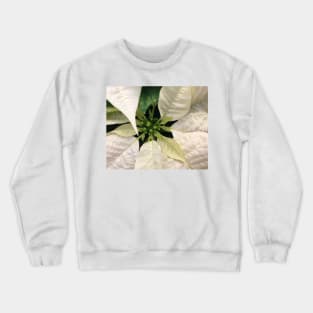 A White Christmas Poinsettia of Peace Joy and Harmony Crewneck Sweatshirt